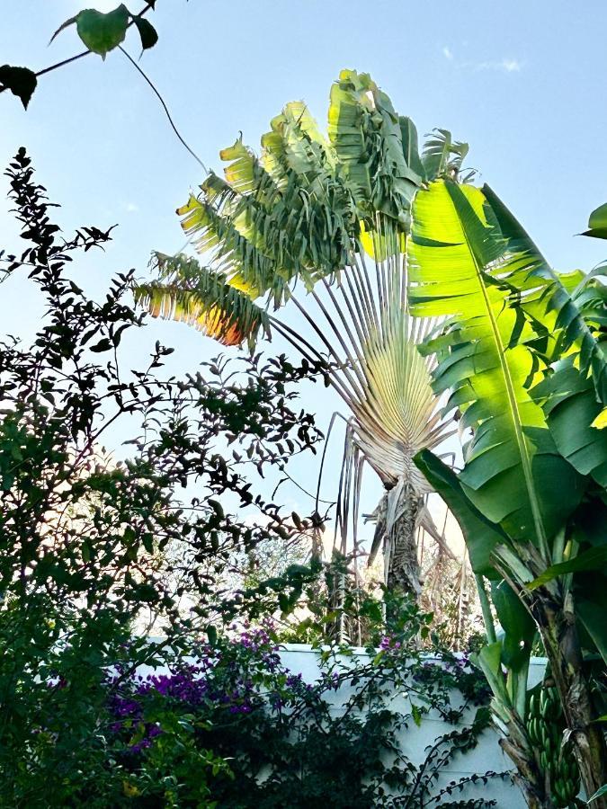 Villa Mango 150 Metres Plage A Pied Sainte-Luce Bagian luar foto